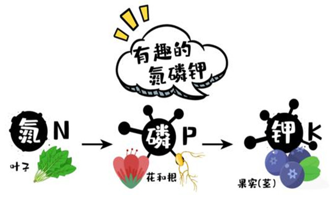 農(nóng)作物三大營養(yǎng)元素是什么