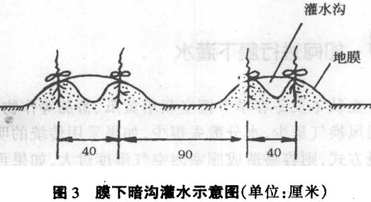 如何進行膜下灌水