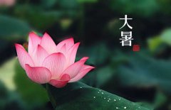 大暑是幾月幾日，大暑的節(jié)日民俗的哪些？