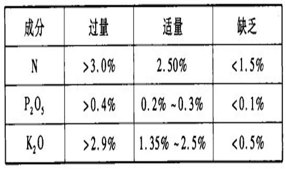 蘋果園的施肥與灌溉技術(shù)