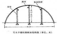 塑料中棚加外覆蓋能明顯使蔬菜早熟，效益高