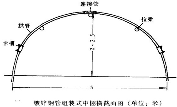 塑料中棚加外覆蓋能明顯使蔬菜早熟，效益高