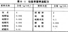 仙客來無(wú)土栽培技術(shù)須知