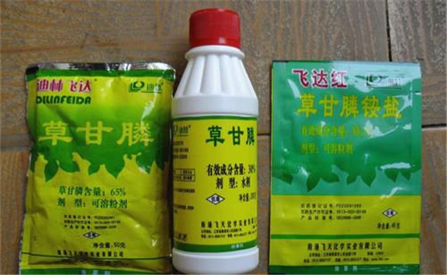 草甘膦是禁用農(nóng)藥嗎