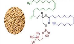 大豆異黃酮對人體有什么好處 什么食物含量多？